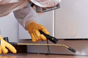 Messie Schädlingsbekämpfung Rheda-wiedenbrück